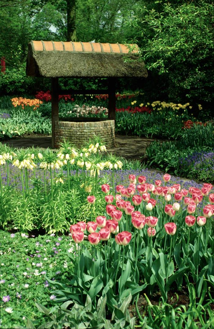 Wishing-well-with-tulips-fixes