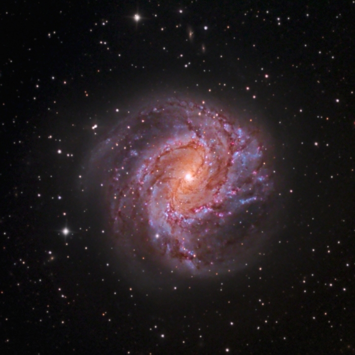 M83 Southern Whirlpool Galaxy sRGB
